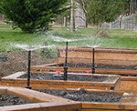 Raised beds with automatic sprinklers
